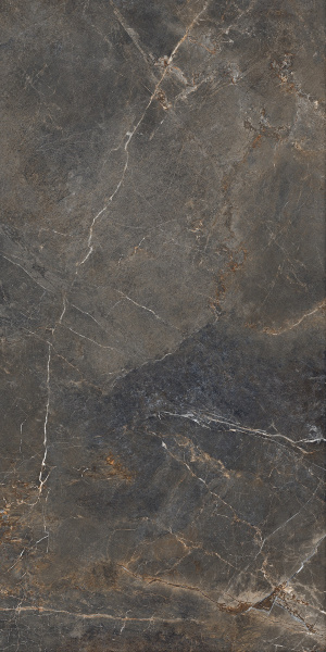  София серый Rect 119,7x59,7 (1,43) 