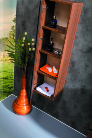 Пенал CAPOLDA dark wood 