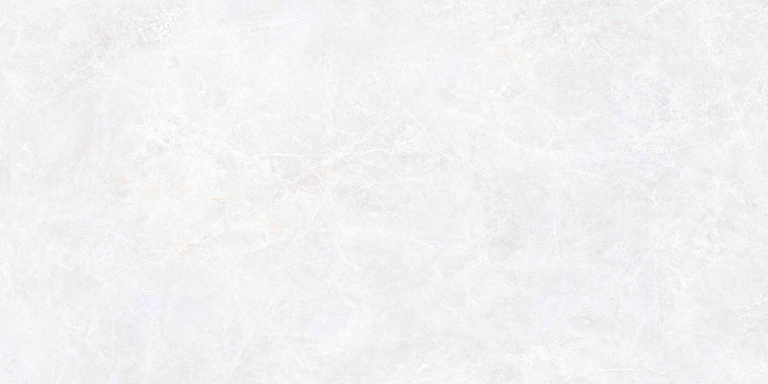   Эмперадор Белый МатR10A 60x120 (1,44)