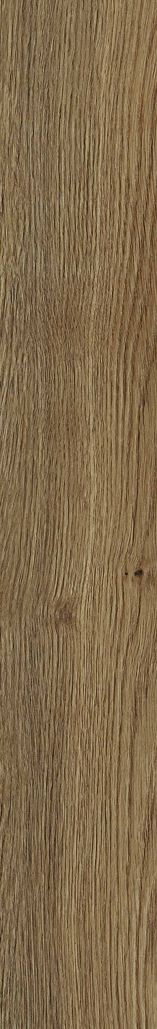   SGR30 Aurevia Honey 9,2x60 (0,6)