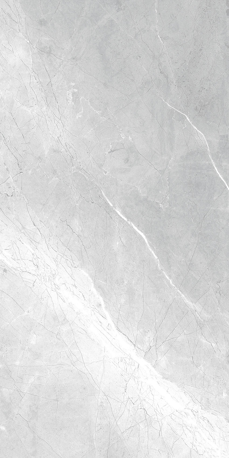  Asti Grey carving 60x120