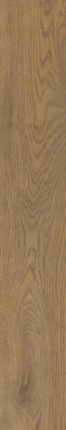   SGR51 Velaris Honey 9,2x60 (0,6)