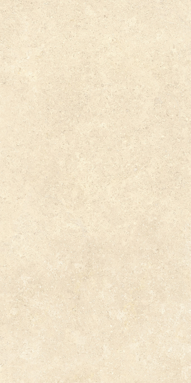   SandStone Песочный МатR10A 60x120 (1,44)