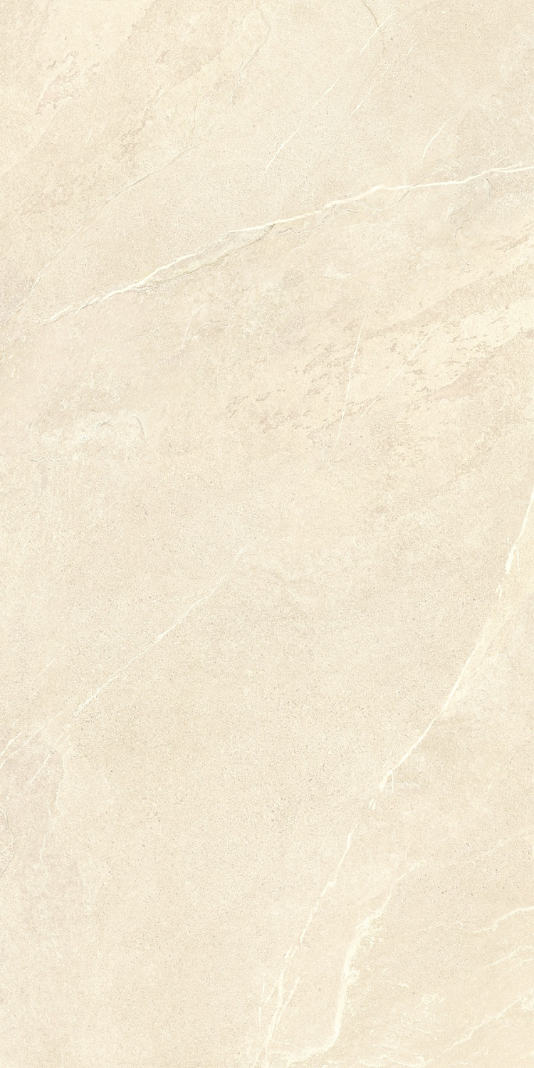 Ardestone Песочный Матовый R10a 60x120