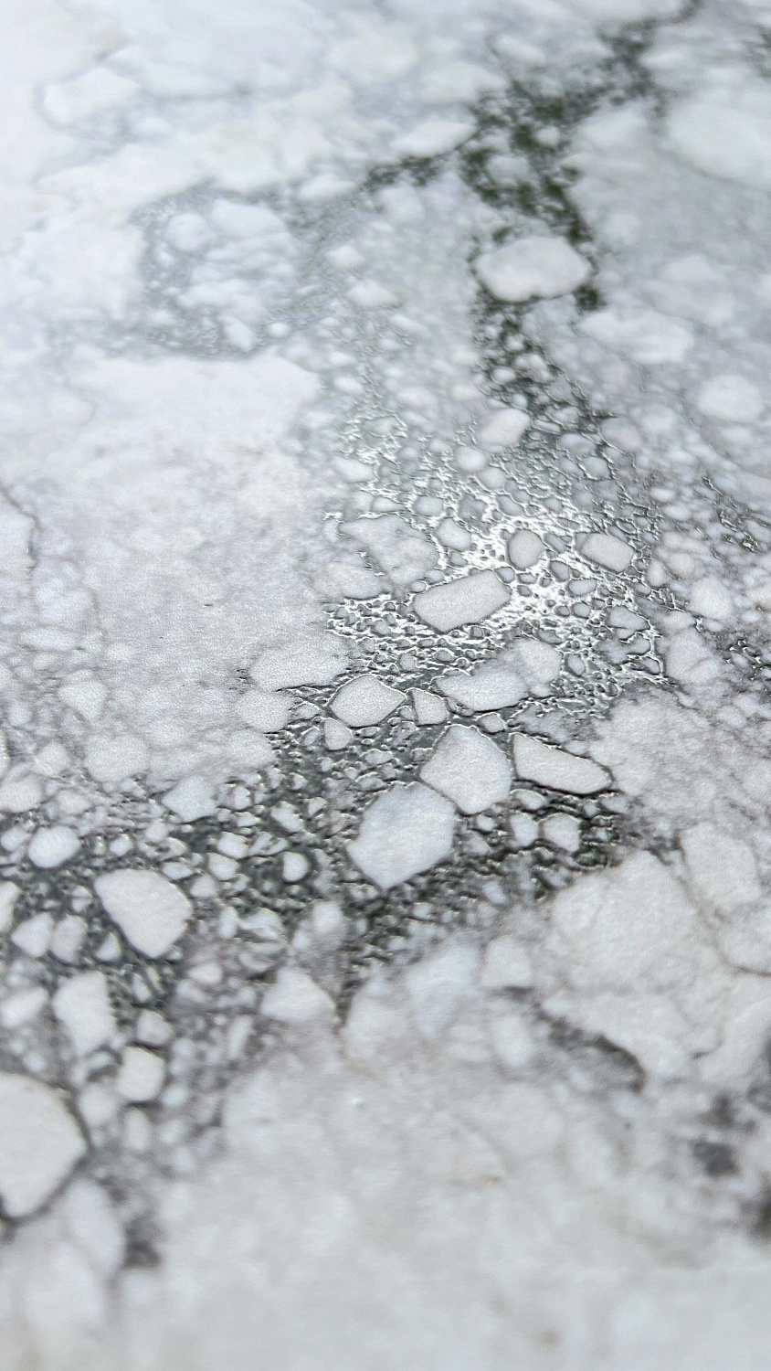  Rock Penguin White Carving 80x160 (2,56)