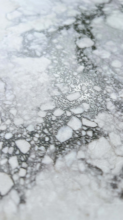  Rock Penguin White Carving 80x160 (2,56) 