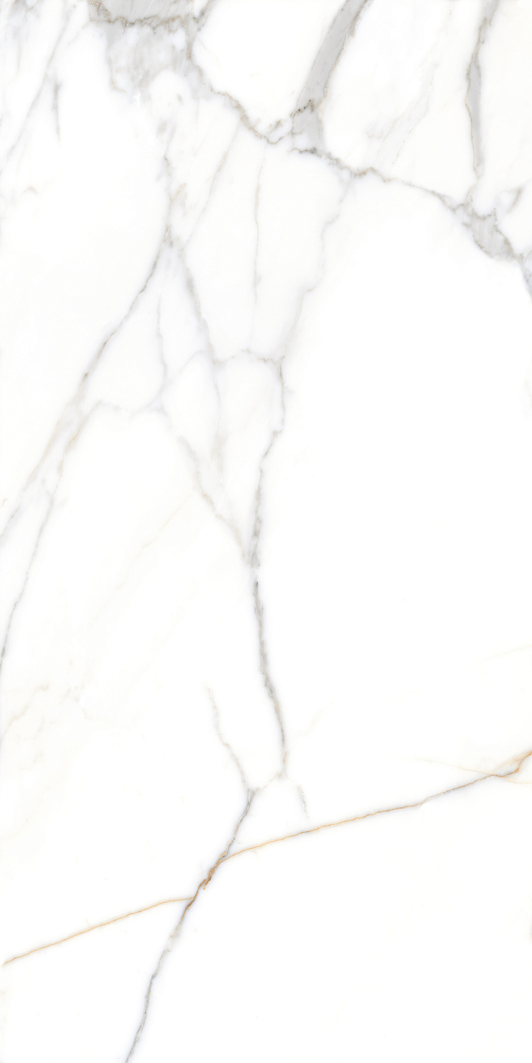 Керамогранит CRV-3140 carving 60х120