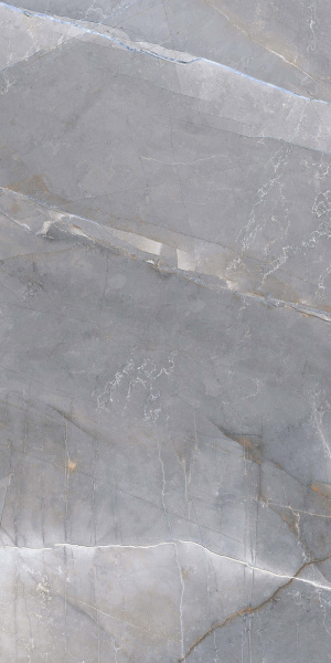  Beauty Grey carving 60x120 