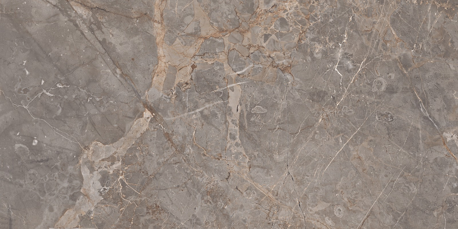  Miltonia Grey 60x120