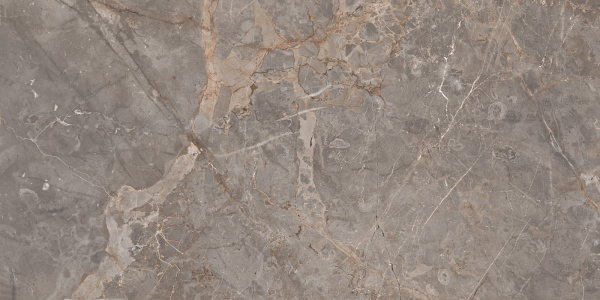  Miltonia Grey 60x120 