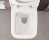 Подвесной безободковый SmoothFlush унитаз
Zentrum Square 