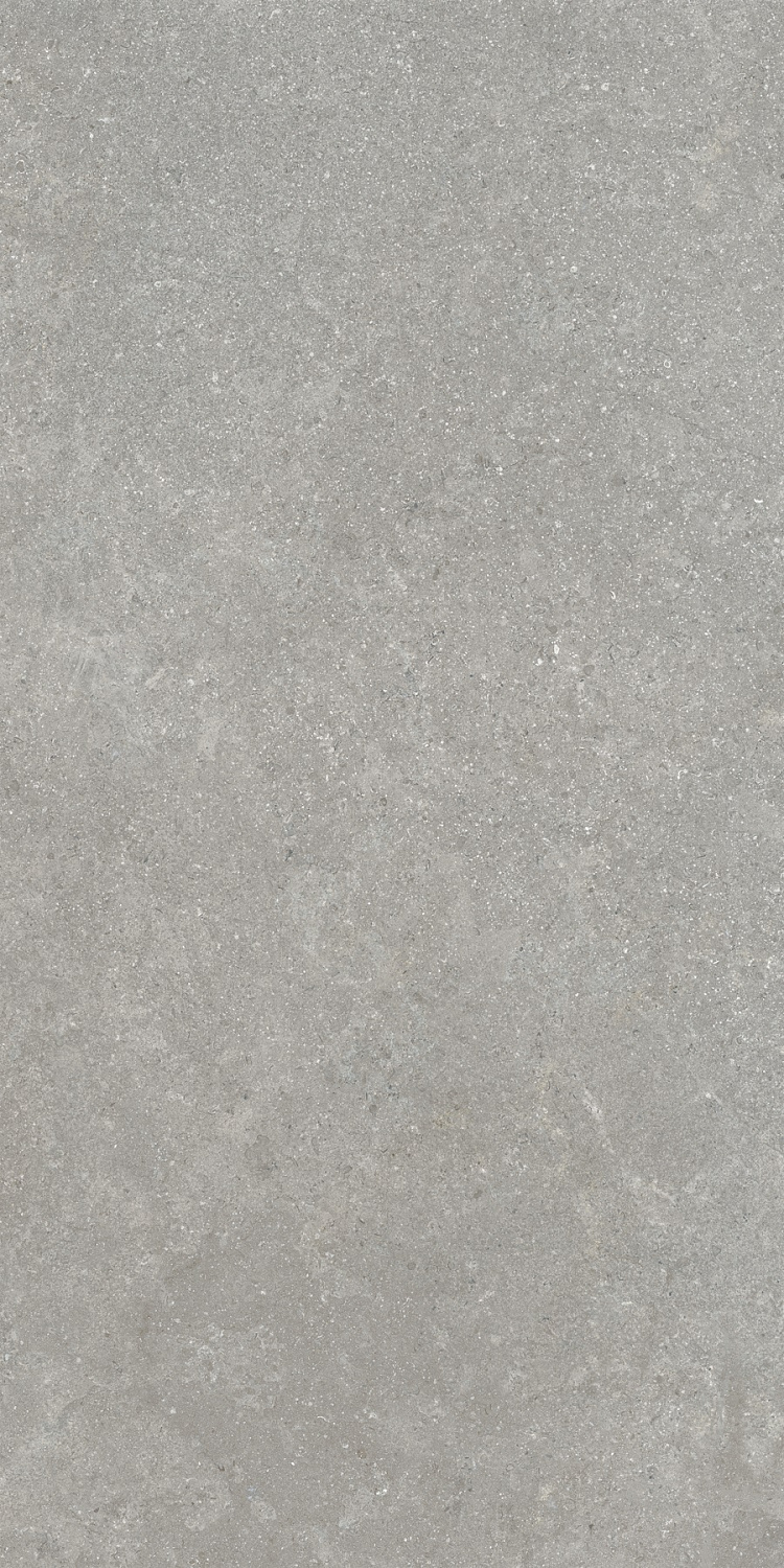 Sandstone Серый Матовый R10a 60x120