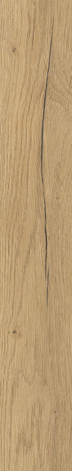   SGR29 Aurevia Gold 9,2x60 (0,6)