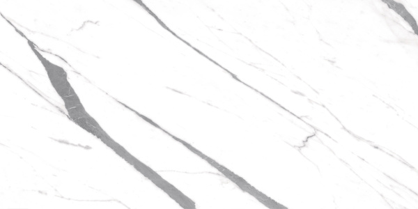  Carrara X Satin 60x120 