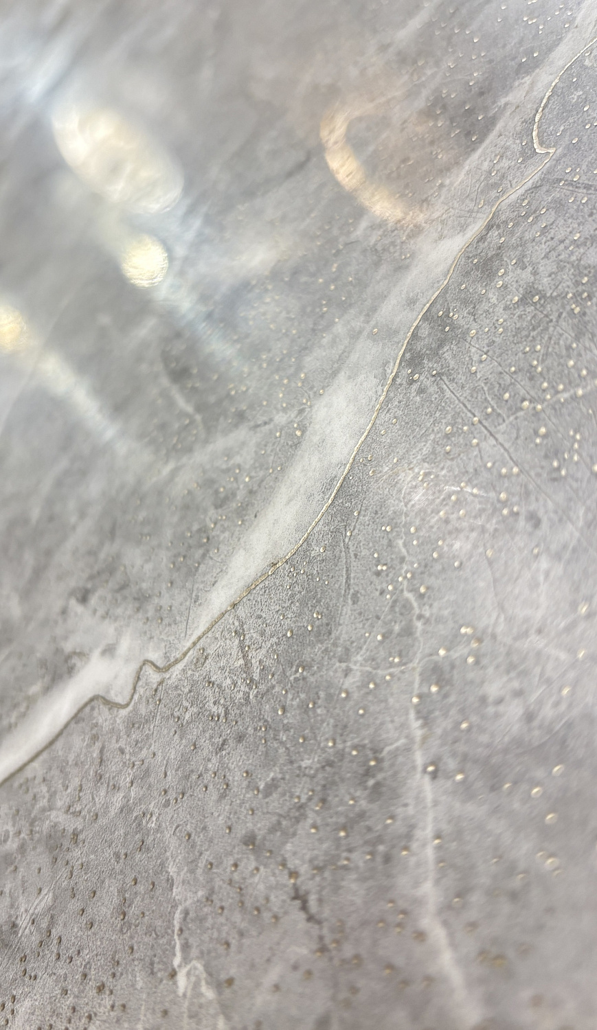  Luanda Polished Silver Carving 60x120 (1,44)