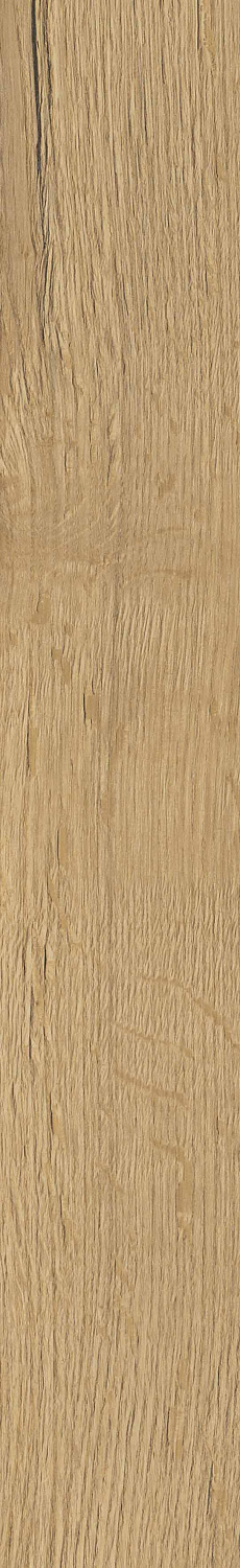   SGR29 Aurevia Gold 9,2x60 (0,6)